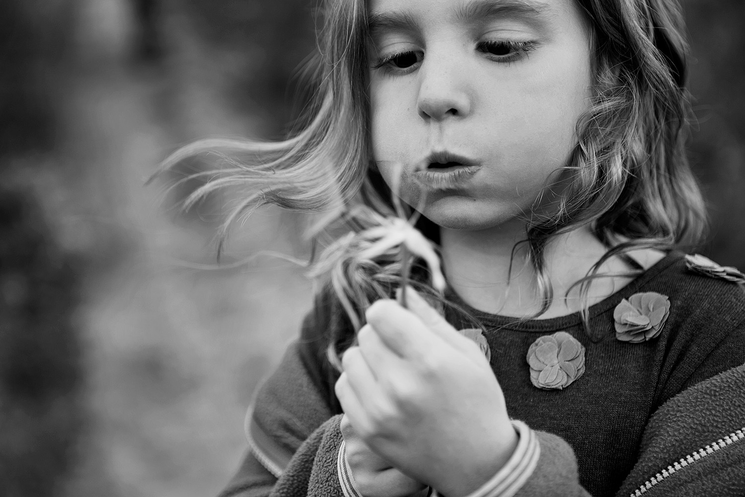 Girl making a wish on a dandelion photographed by Dana Pugh