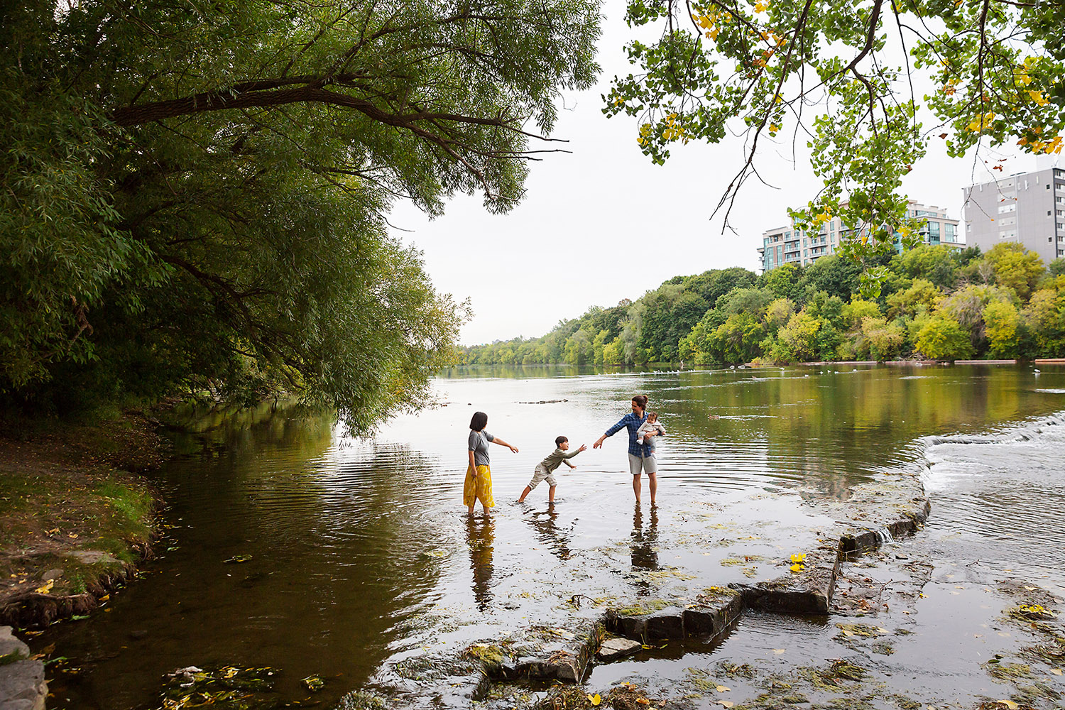Family wading in the river in the Ottawa area